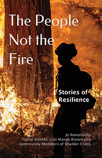 book cover photo of firefighters