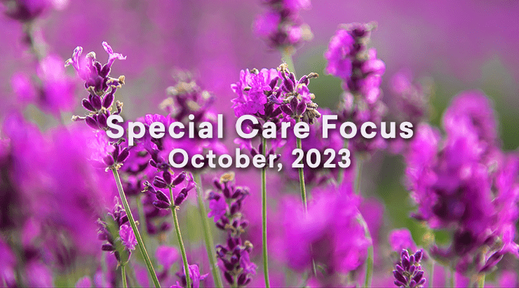Special Care Focus, Meditation/Prayer to the Israel-Hamas Conflict