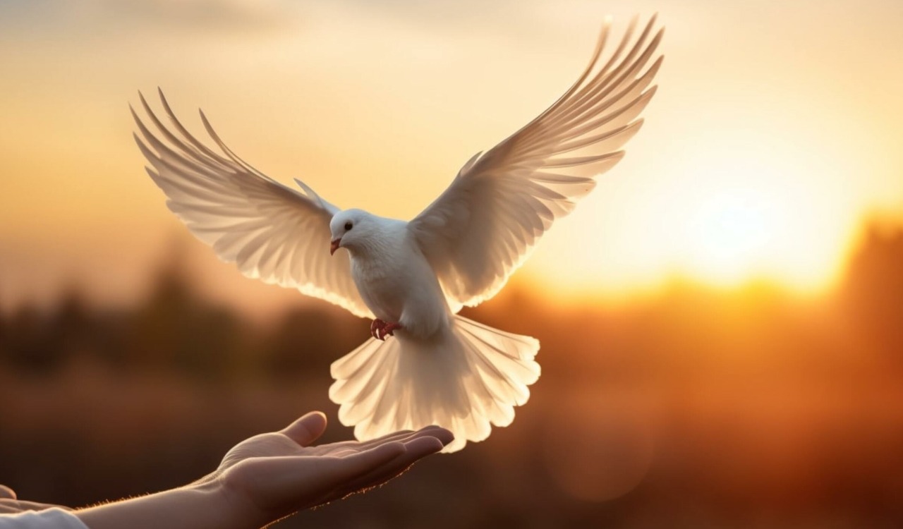 Unleashing Love